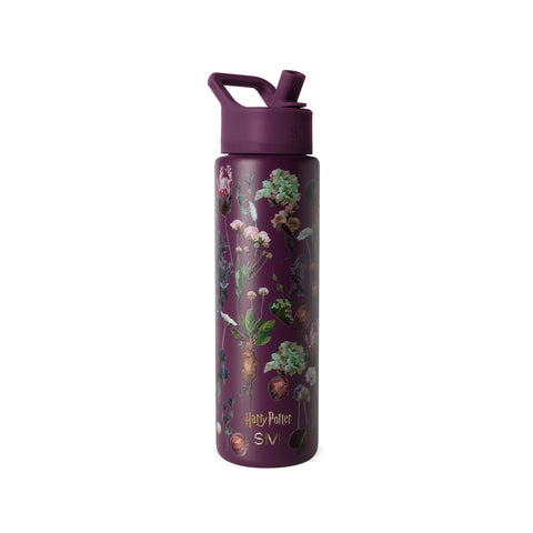 Summit Water Bottle with Straw Lid